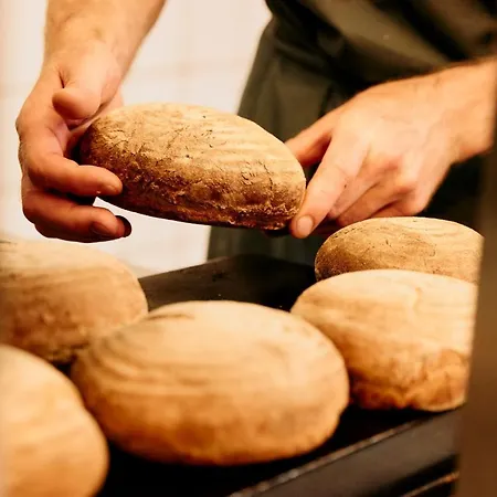 Arx فندق سخلادميخ