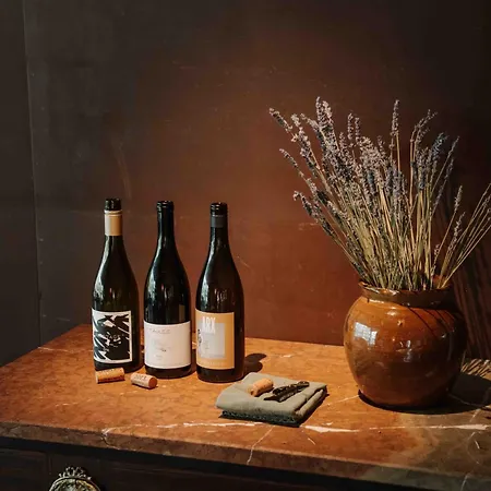 酒店 Arx Boutiquehotel 4*