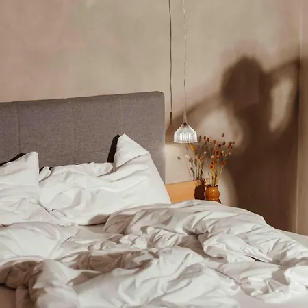 Arx Boutiquehotel 酒店 4*